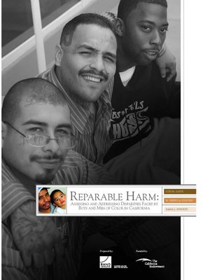 cover image of Reparable Harm